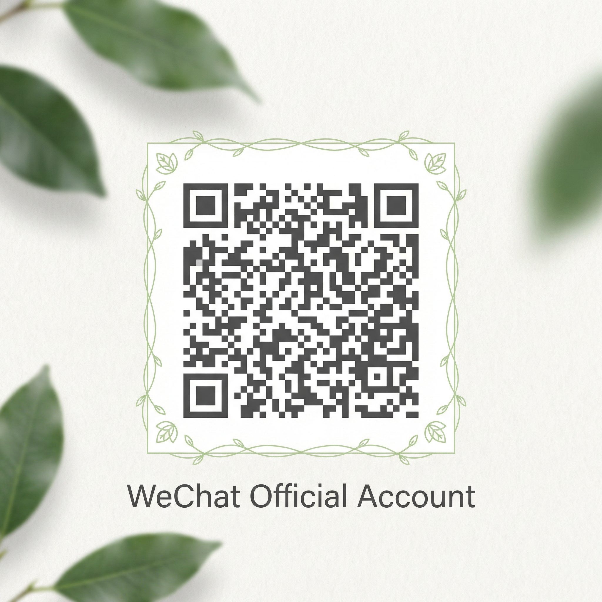 91公众号二维码